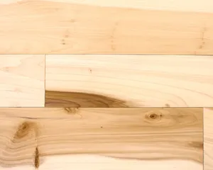 Character Poplar